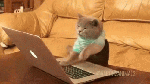 InfoSec Blog